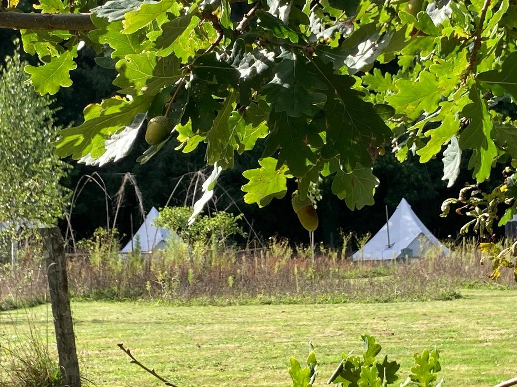 Hotel Au Pre Fleuri Eco Glamping Le Lindois Esterno foto